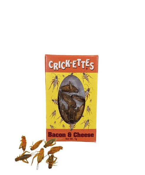 Crickets en Boite - Crick-Ettes