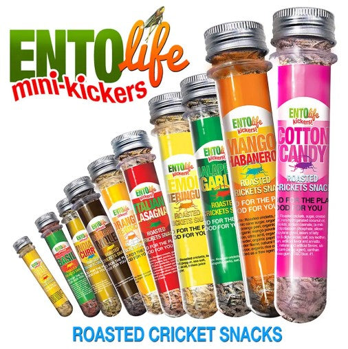 Crickets en Tube - Ento Life