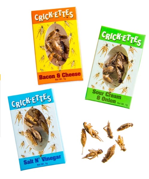 Crickets en Boite - Crick-Ettes